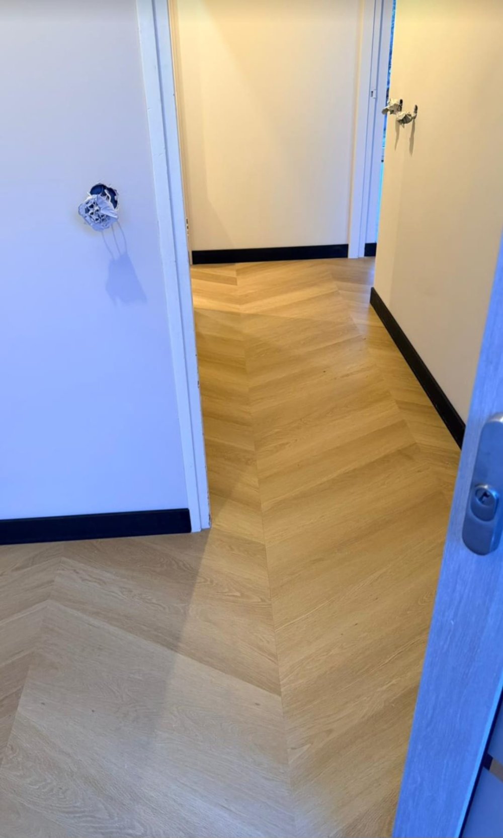 crocus renovatie montage